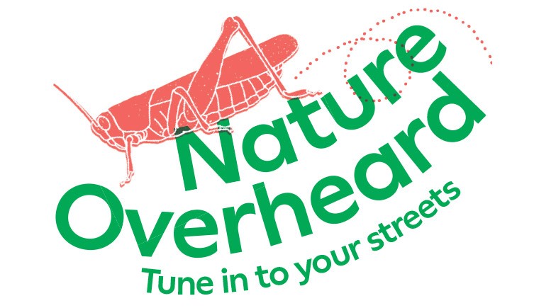 Nature Overheard banner
